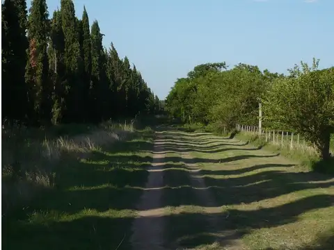 3 HAS  ESTRATEGICA UBICACION - PRECIO RETASADO