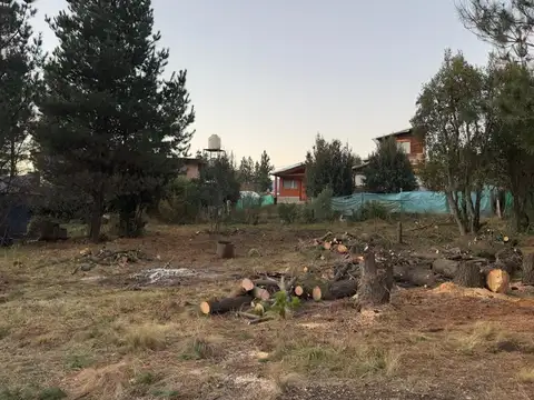 El Michay