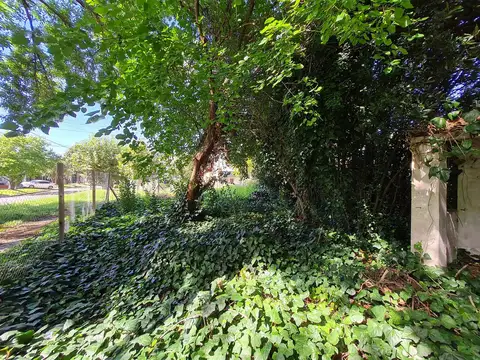 Terreno en Venta de 300,0 m2