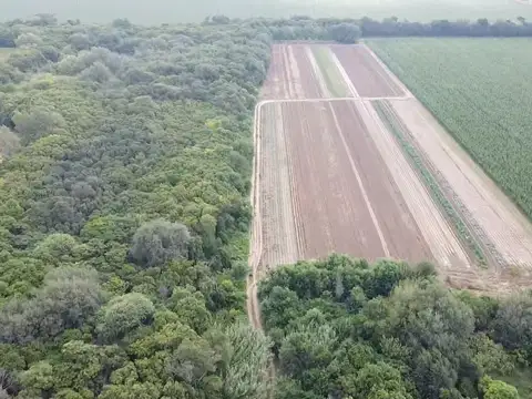 Terreno en Venta de 39666,0 m2