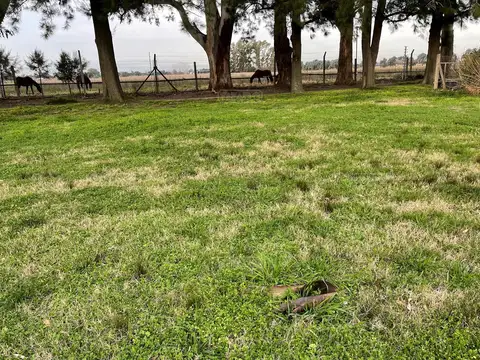 Terreno en Venta de 2000,0 m2