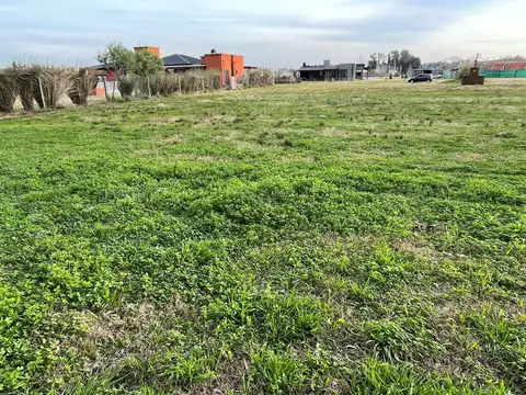 COMARCAS DE LUJAN 100