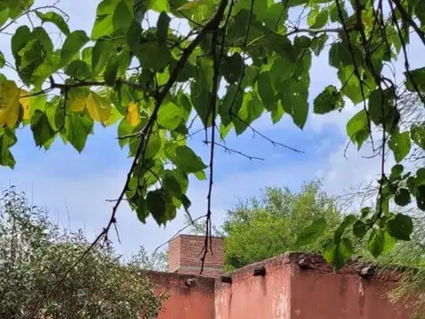 SE VENDE FINCA, RUTA 38 KM 614 PACLIN. FACILIDADES
