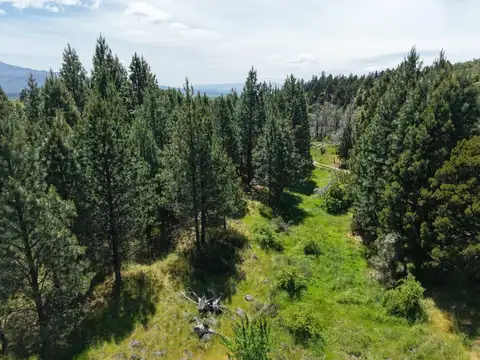 Casa en Venta 15 años