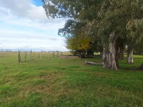 Campo en venta en San Vicente