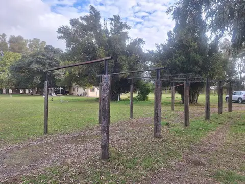 Campo en venta en San Vicente