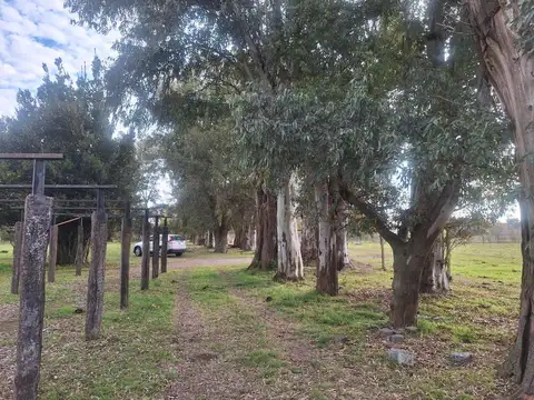 Ruta 6 Y Ruta 52