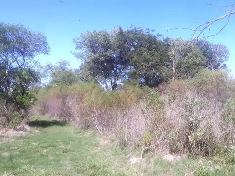 Terreno en Venta, FOT 4