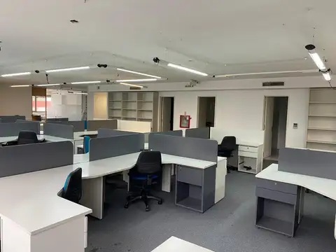 Encarnación Ezcurra 300