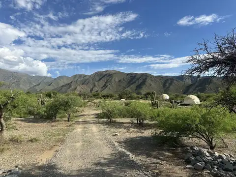 2 Has con Domos Glamping, Pileta, Colalao del Valle