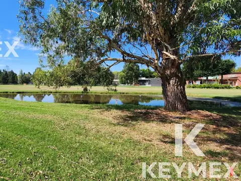 Terreno en Venta 60  mts Fondo