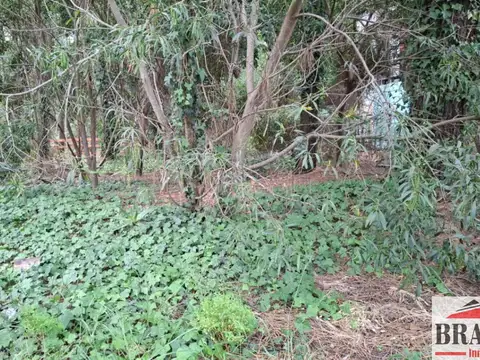 Punta del Este y 100