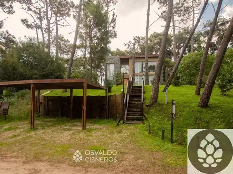 Las toninas e/ Las Acacias y Los condores 100