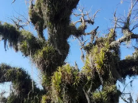 Terreno en Venta en Caraguata, USD 30.000