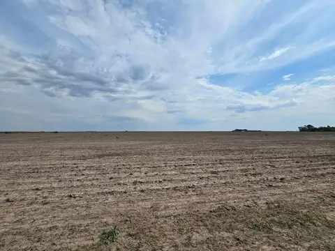 Se vende campo agrícola