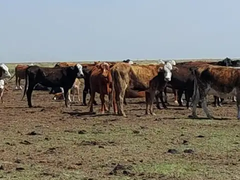 Campo en venta - 15.000 Hectáreas - Santa Fe