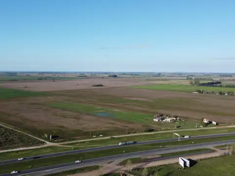 Campo en Venta de 17  ha