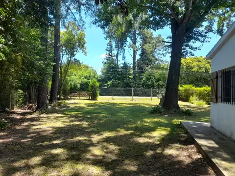 Leónardo Da Vinci 3400