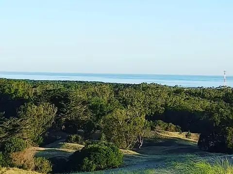 Terrenos en venta - 4.255Mts2 - Arenas Verdes, Lobería