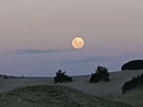 Terreno en Venta de 4255,0 m2