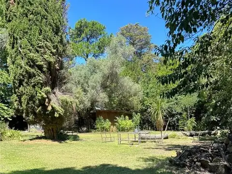 JUJUY 100