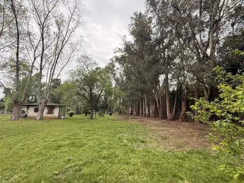 Casa Chalet  en Venta en Barrio Parque Los Pinos, Exaltación de la Cruz, G.B.A. Zona Norte