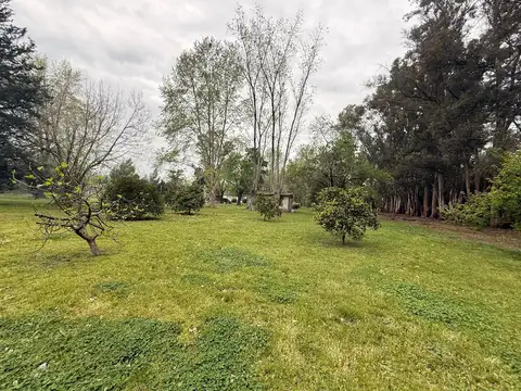 LOS PINOS -RUTA 8 KM 72-SARMIENTO 100