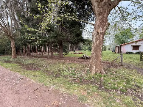 LOS PINOS -RUTA 8 KM 72-SARMIENTO 100