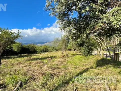 Terreno en Venta en Carpintería, USD 29.000