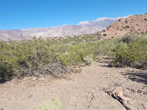 Terreno en Venta de 5000,0 m2