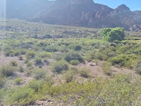Terreno en Venta en Uspallata, USD 28.000