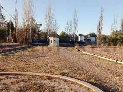 cruz videla 2400