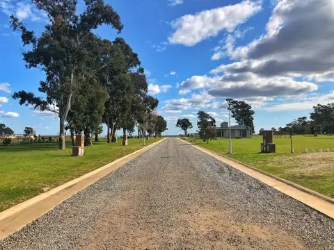 VENTA LOTES BARRIO LA AURELIA