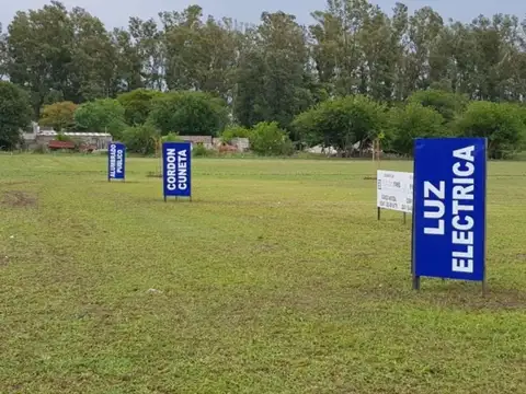 A PiÑero 100