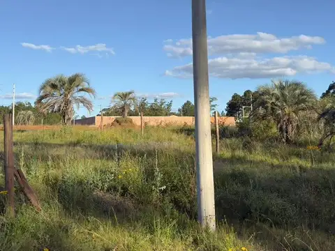 Marta Benedetti Esquina Nogoya 100