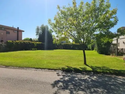 Terreno en Venta 40  mts Fondo