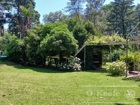 Quinta en Abasto sobre lote 9000 m2 Acepta Financiación.