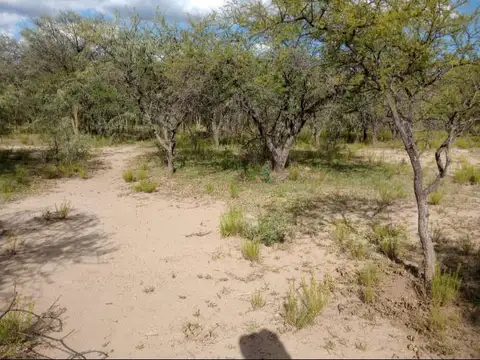 Campo en Venta de 1  ha