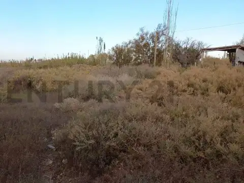 severo del castillo 6100, Piso 0