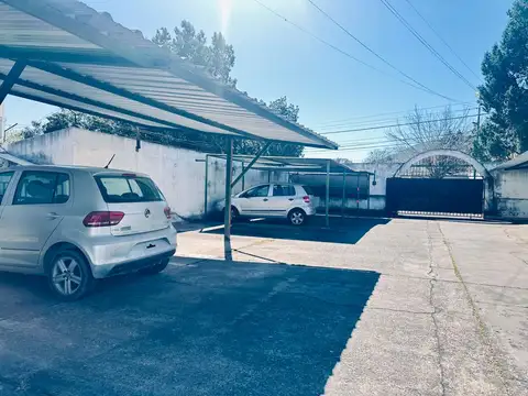 Los Mandarinos 100