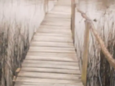 Terreno en Venta de 56288,0 m2