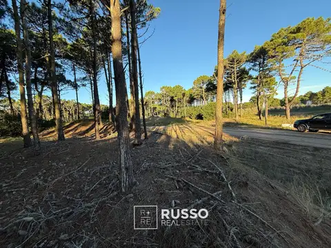 LOTE EN VENTA | BOSQUES PINAMAR | BARRIO TAMARISCO