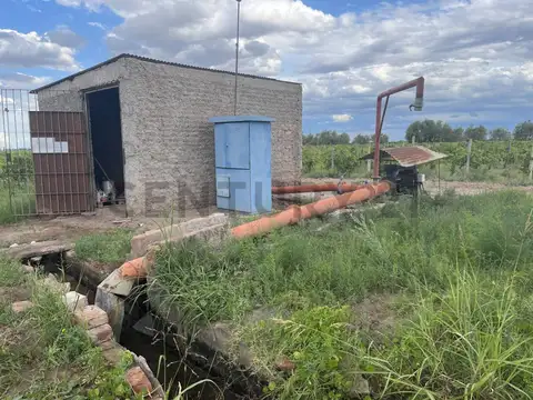Lamadrid sin número , Piso 0