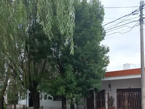 Juan Bautista Alberdi, San Antonio De Padua, Merlo 1300