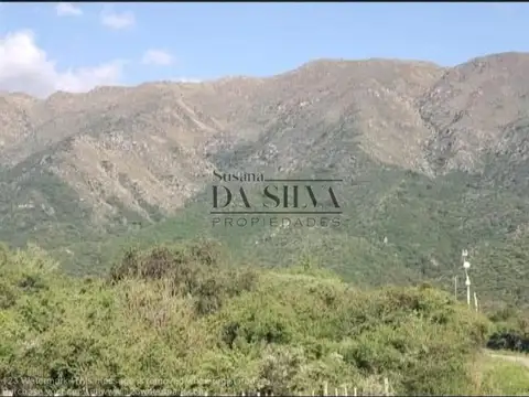 San Luis, Algarrobo Y Calle 21