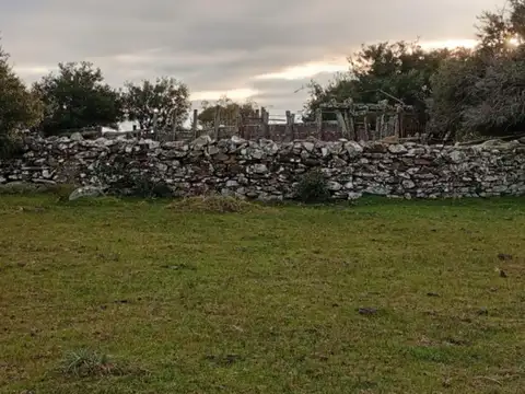 Hermosa Chacra en venta en San Carlos, Uruguay
