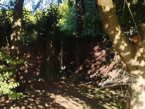 Imponente Quinta en Arturo Seguí - 1.116m² de Parque - 3 Dorm   Oficinaro Segui
