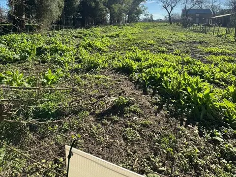 Ruta 5 Y Colectora Sur