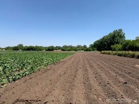Campo en venta en Exaltación de la Cruz 100