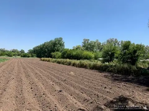 CAMPO EN EXALTACION DE LA CRUZ RUTA 8 KM 74